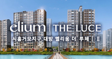 시흥거모지구 대방 엘리움 더 루체