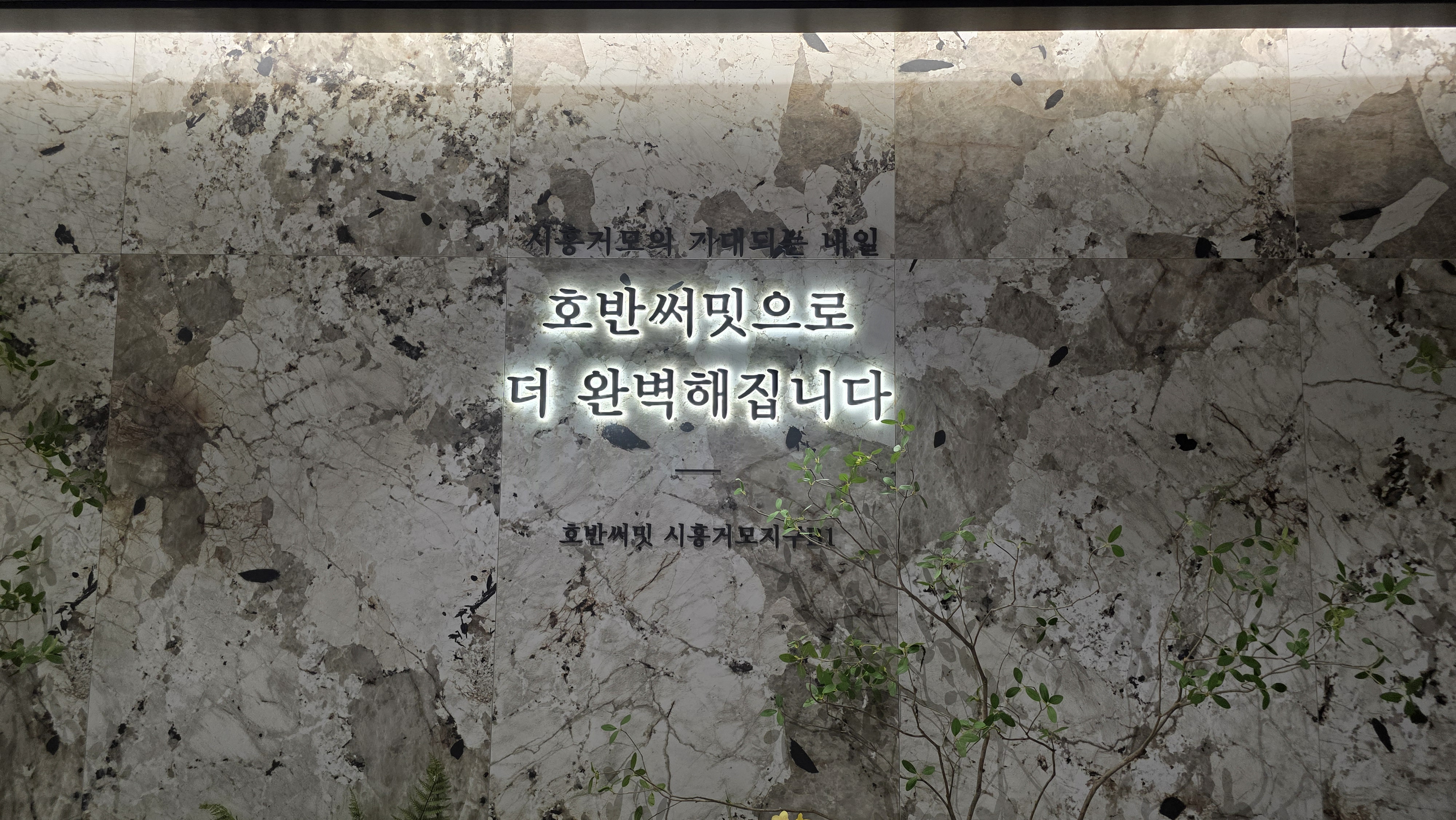 시흥거모B1 「호반써밋」대표1600-2733 메인 이미지